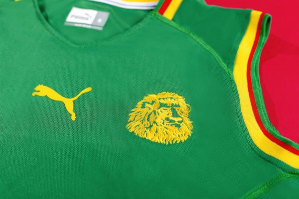 2002 Cameroon home - 图片 5