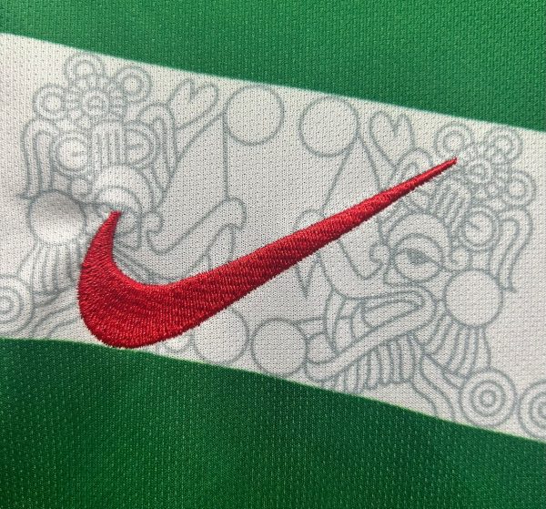 2006 Mexico home - 图片 4