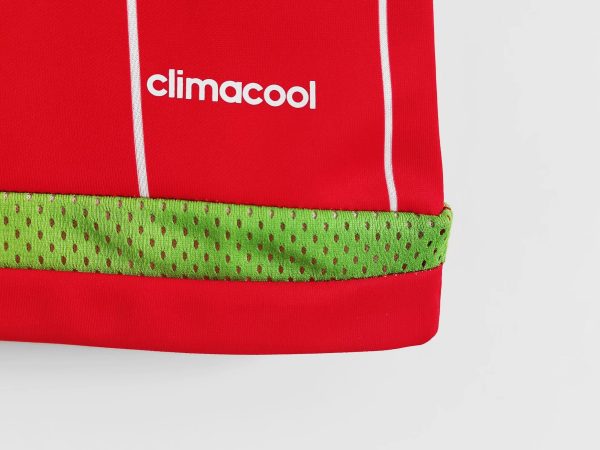 2015/16 Wales home - 图片 3