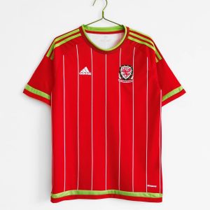 2015/16 Wales home