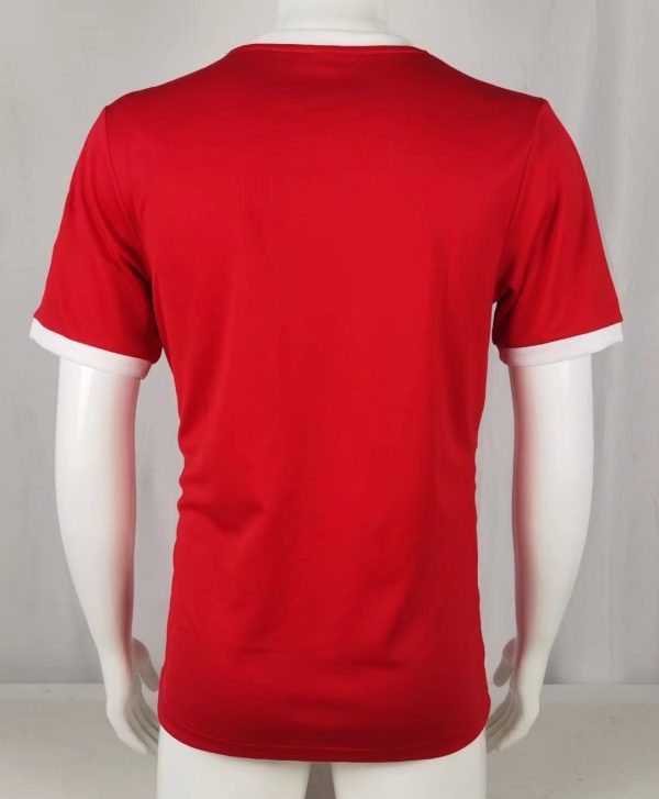 1972-1973 Benfica Red - 图片 2