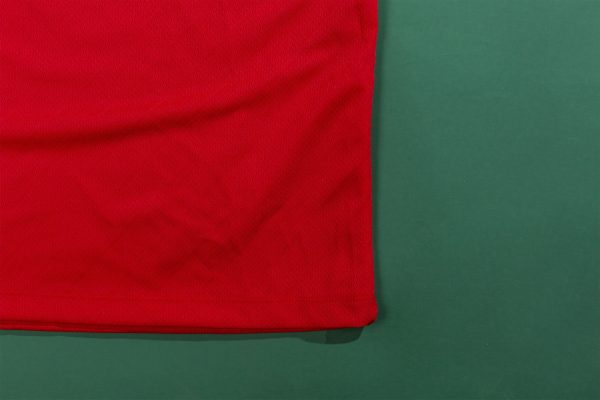 1996 Czech home - 图片 6
