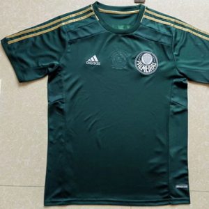 2014/15 Palmeiras home
