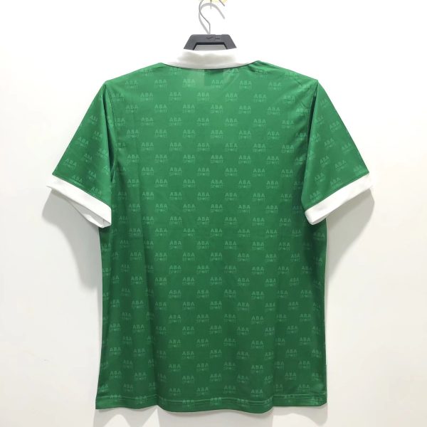 1995 Mexico home - 图片 2