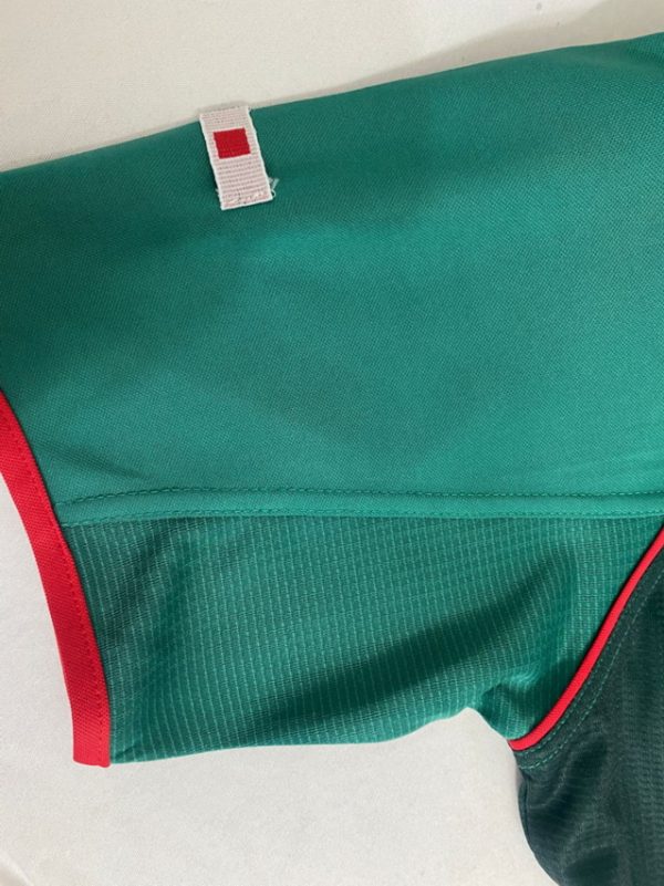 2002 Mexico home - 图片 5