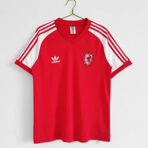 1982 Wales home
