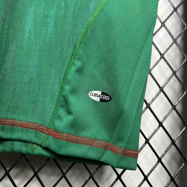 Mexico 2010 Home Retro Jersey - 图片 5