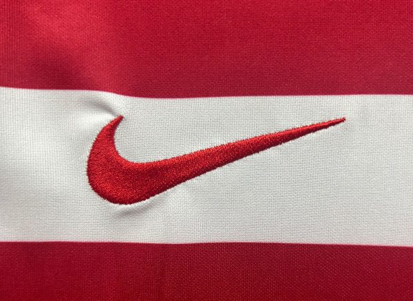 2010 Serbia home - 图片 5